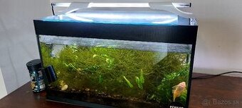 Aquarium 2x s príslušenstvom