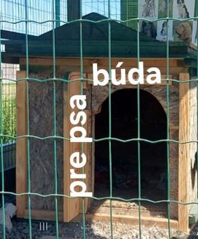 Psia búda