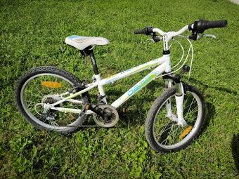 Detský bicykel DEMA DENNY 20"