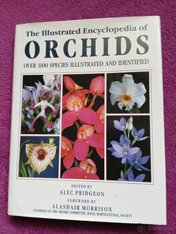 Ilustrovaná encyklopédia orchideí v angličtine