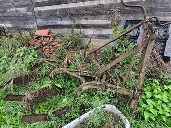 Pluh  trojradličný