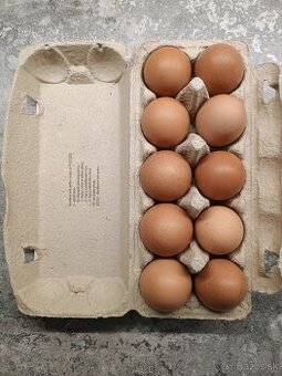 predam domace slepacie vaji-cka