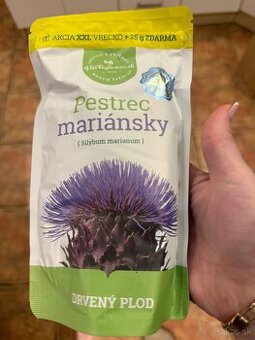 Pestrec mariánsky – drvený plod