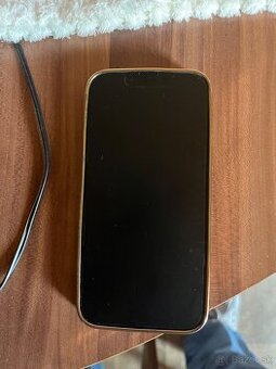 APPLE 13