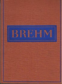 Brehm 1 - 1