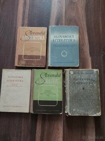Staré slovenské literatúry a gramatika