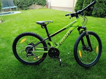 Giant 24