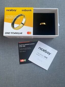 Niceboy platobný prsteň one Titanum