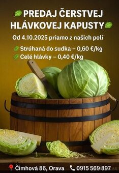 Kapusta