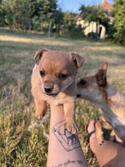 Darujeme len do dobrých rúk ‼️