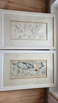 Predam obrazy od Holleho