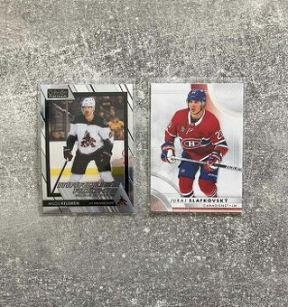 Hokejové kartičky Slováci v NHL