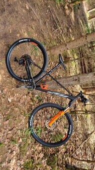 KTM Ultra Fun