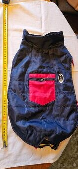 Kabatik na maleho psa