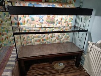 Terarium