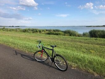 Bicykel Dema