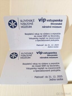 2x VIP vstupenka na SNM