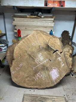 Vysušené dubové koláče / priečne rezy, dub, XXL