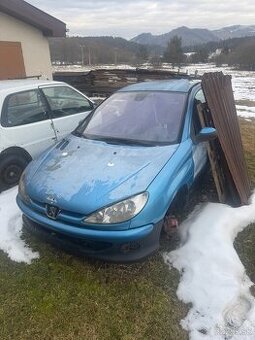 Peugeot 206 2.0 gti.