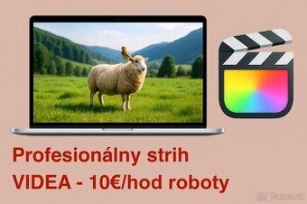 PROFESIONÁLNY STRIH VIDEA A POHYBOVÁ GRAFIKA