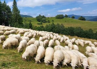 Práca na farme