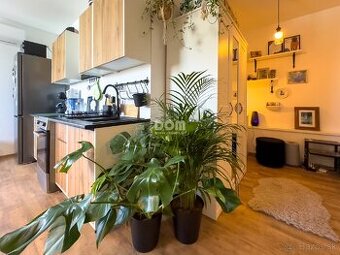 Hľadám súrne byt v Snine