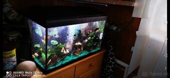 Akvárium Ferplast 60l