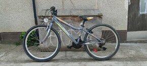 Bicykel DEMA - 1