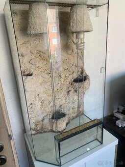 Terarium