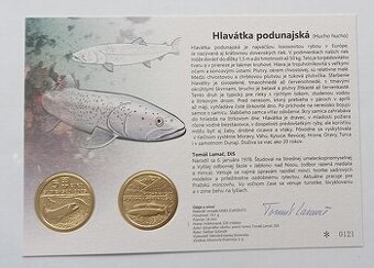 Autorská karta 5 € 2025 - Hlavátka podunajská