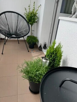 3 izbový byt, 65m2, Bielocerkevska ul., Košice-Furča