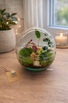 Biosféra, terrárium, rastlinné terárium