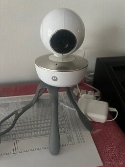 Elektronická pestúnka