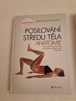 Posilňovanie stredu tela Anatomie