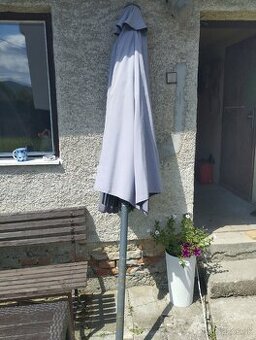 Slnečník