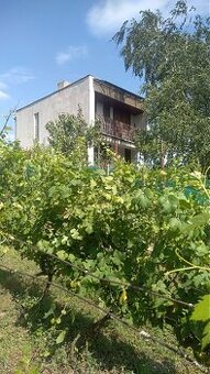 Predaj, chata, chalupa, vínny dom, Marcelová