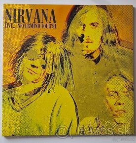NIRVANA - Live...Nevermind Tour'91