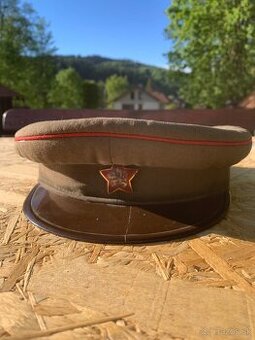 Brigadirka čsla 50 roky