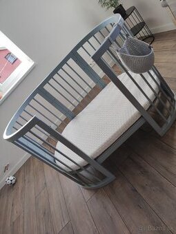 Rastúca postieľka sivá