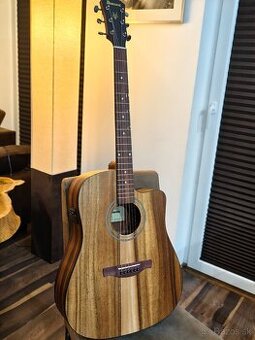 Predám gitaru Ibanez V40WSCE-OPB