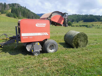 Maschio