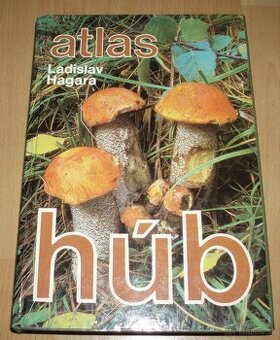 Atlas húb