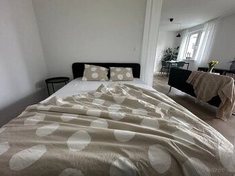 1,5 izbový byt, Nové mesto