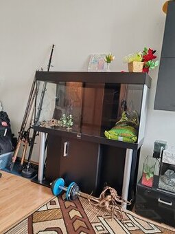 Akvárium 280l. Plus stolík diversa