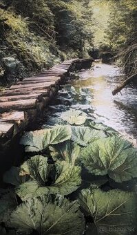 Fotoobraz zo Slovenského raja, oblasť Tomášovská Belá
