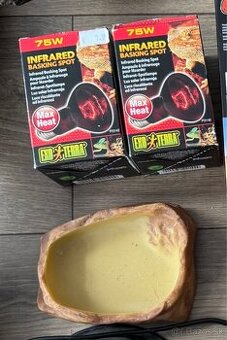 veci po chove agamy bradatej