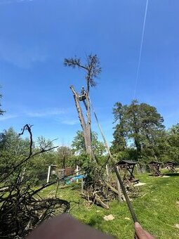 Pílenie stromov, výrub, rizikové pilenie, arboristika