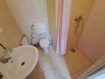 Na prenájom veľká rekonštruovaná garzónka v centre mesta.