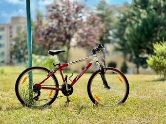 Detský bicykel AUTHOR