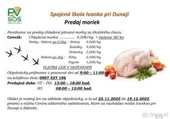 Chladené pitvane morky